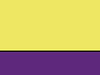 Fluo Yellow/Purple